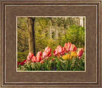 Salt Lake in the Garden