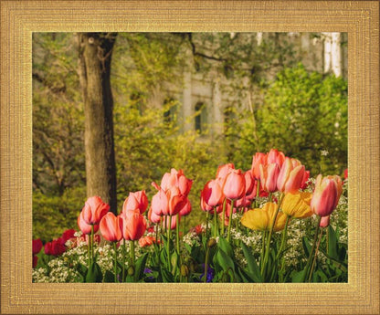 Salt Lake In The Garden