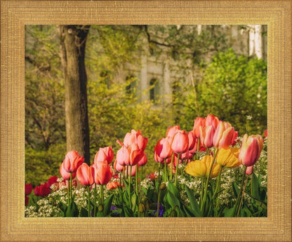 Salt Lake in the Garden