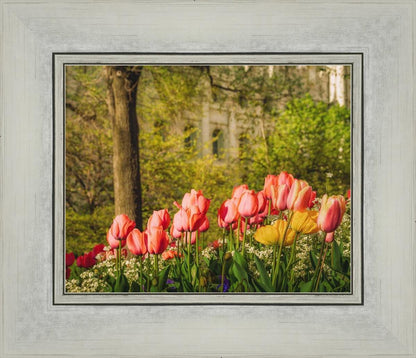 Salt Lake In The Garden