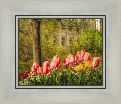 Salt Lake in the Garden