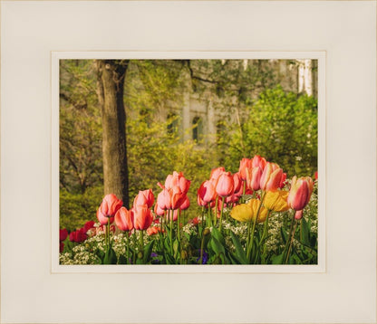 Salt Lake in the Garden