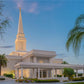 Orlando 02