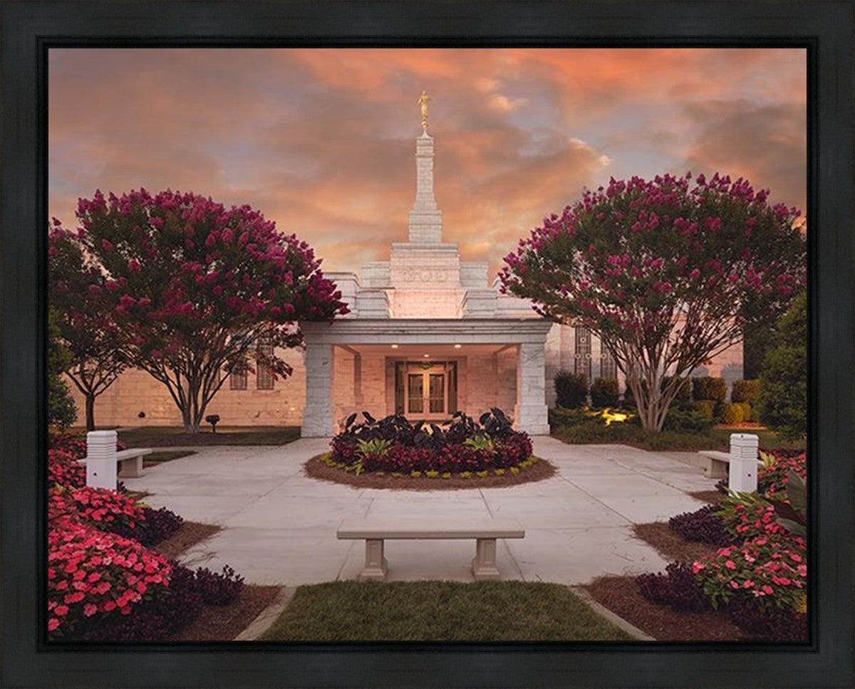 Raleigh Splendor Gallery Wrap
