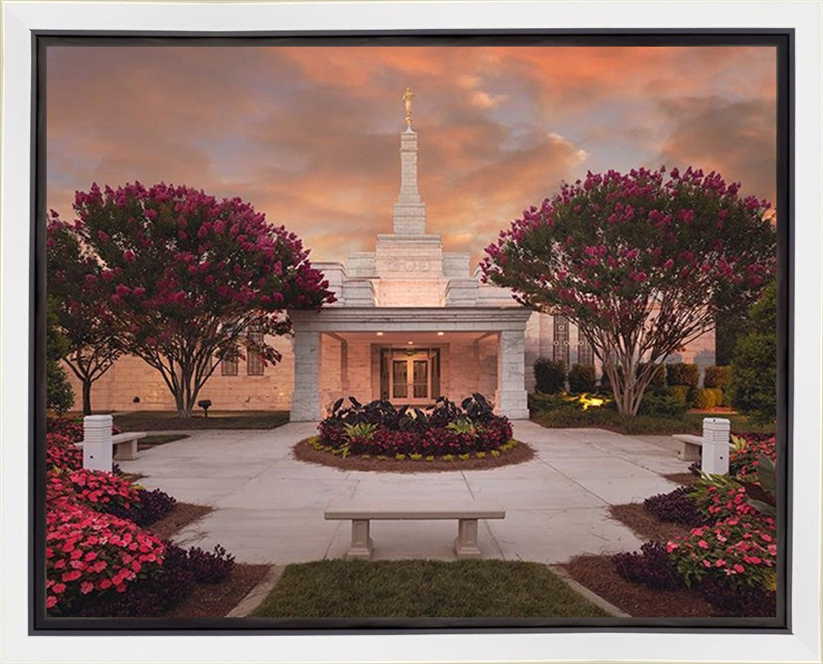 Raleigh Splendor Gallery Wrap