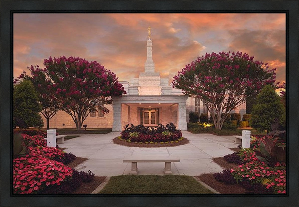 Raleigh Splendor Gallery Wrap