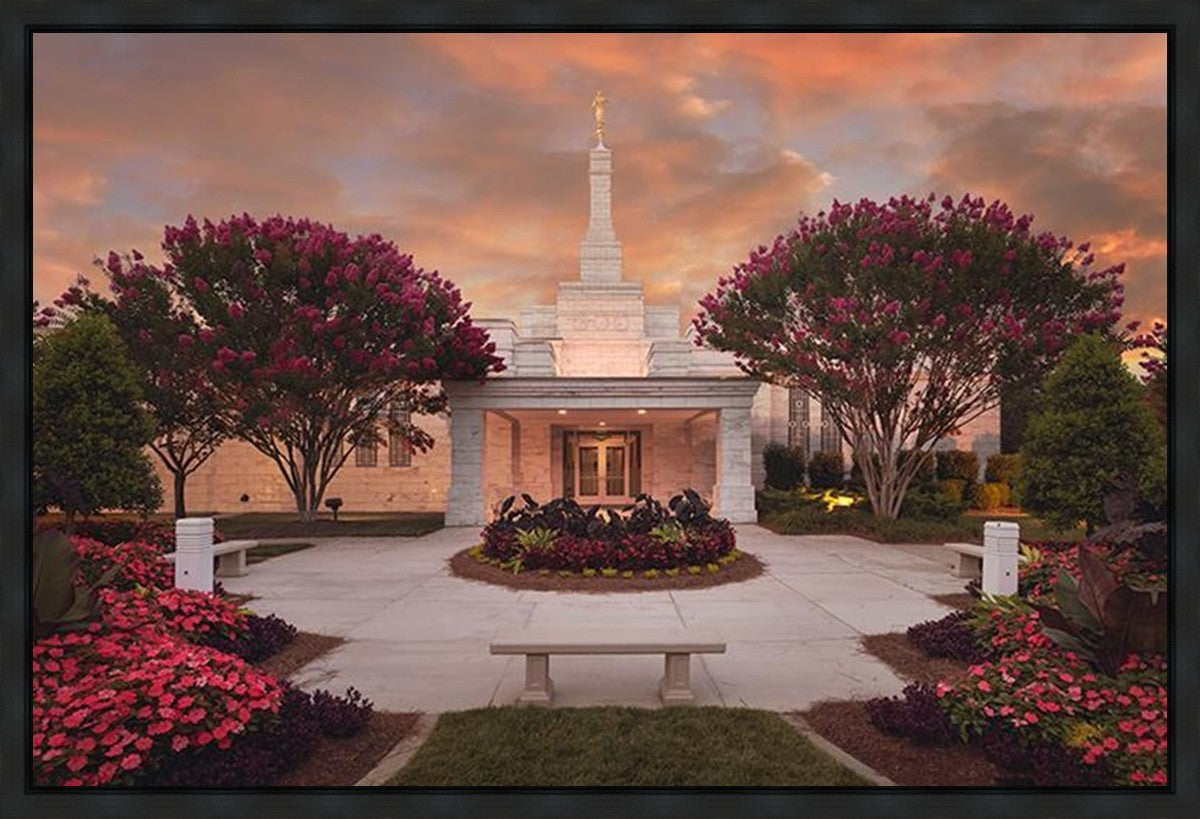 Raleigh Splendor Gallery Wrap