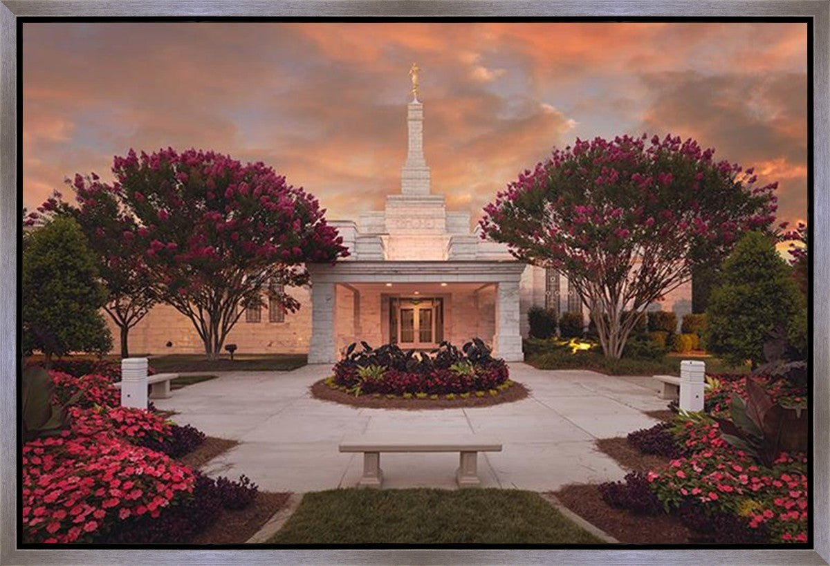 Raleigh Splendor Gallery Wrap