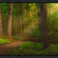 Sacred Grove Gallery Wrap