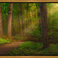 Sacred Grove Gallery Wrap