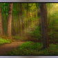 Sacred Grove Gallery Wrap