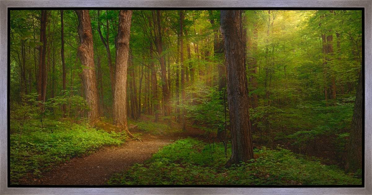 Sacred Grove Gallery Wrap
