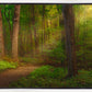 Sacred Grove Gallery Wrap