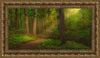 Sacred Grove