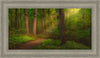 Sacred Grove