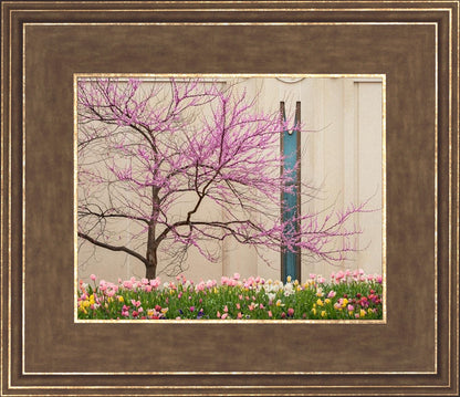 Jordan River Awakening