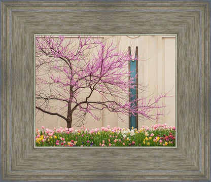 Jordan River Awakening