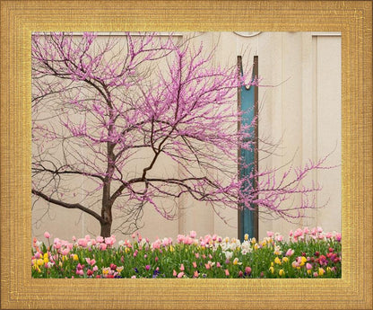 Jordan River Awakening