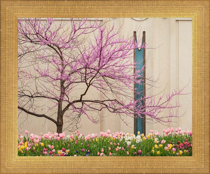 Jordan River Awakening