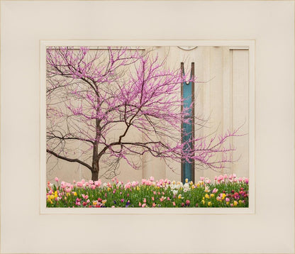 Jordan River Awakening