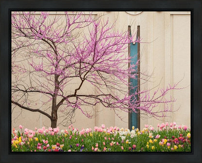 Jordan River Awakening