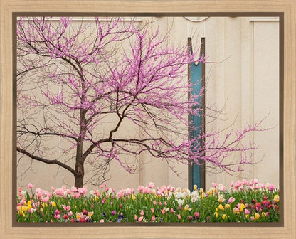 Jordan River Awakening