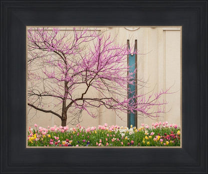 Jordan River Awakening