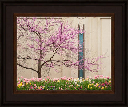 Jordan River Awakening