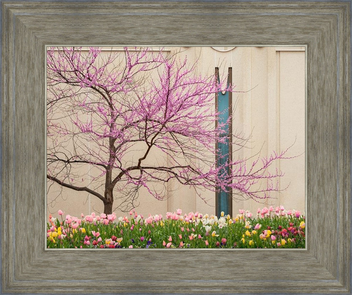 Jordan River Awakening