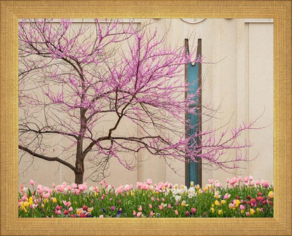 Jordan River Awakening