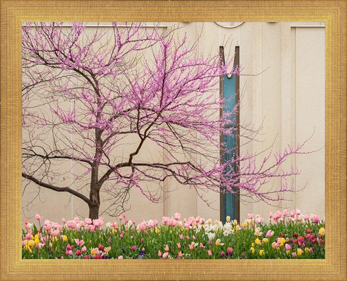 Jordan River Awakening