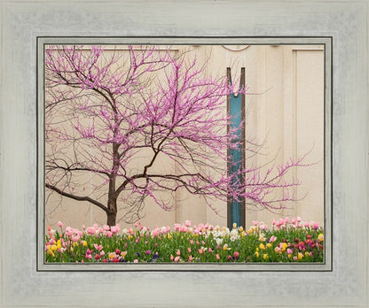 Jordan River Awakening