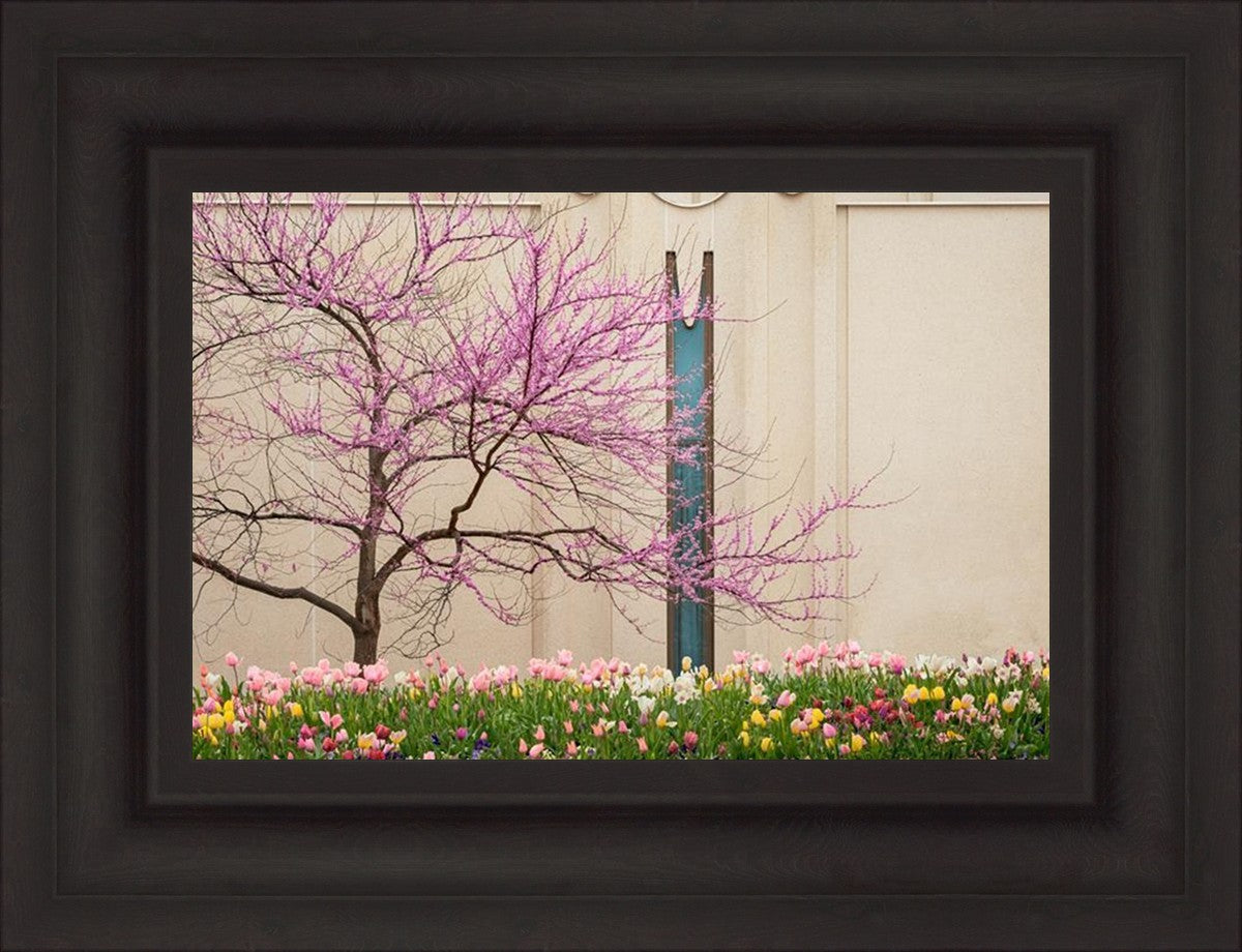 Jordan River Awakening