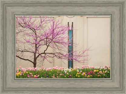 Jordan River Awakening