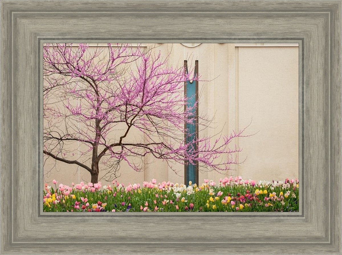 Jordan River Awakening