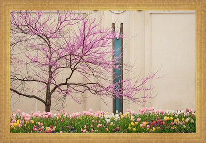 Jordan River Awakening