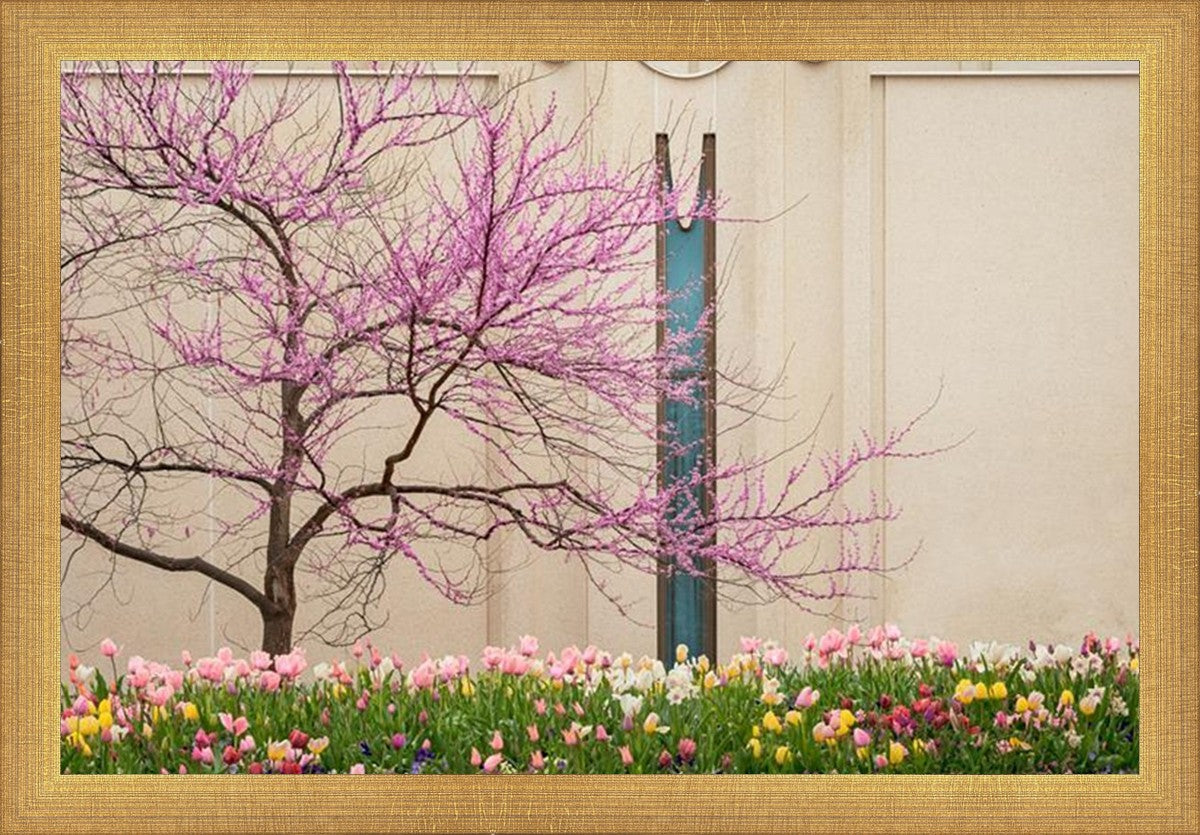 Jordan River Awakening