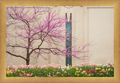 Jordan River Awakening