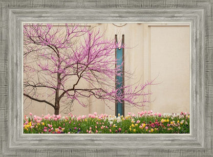 Jordan River Awakening