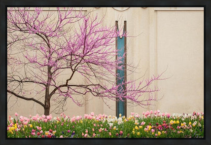 Jordan River Awakening