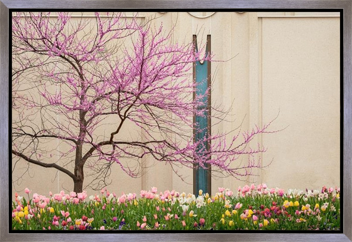 Jordan River Awakening Gallery Wrap