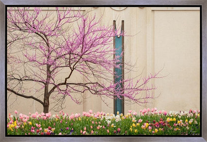 Jordan River Awakening