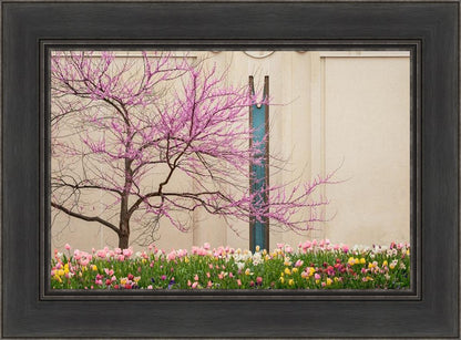 Jordan River Awakening