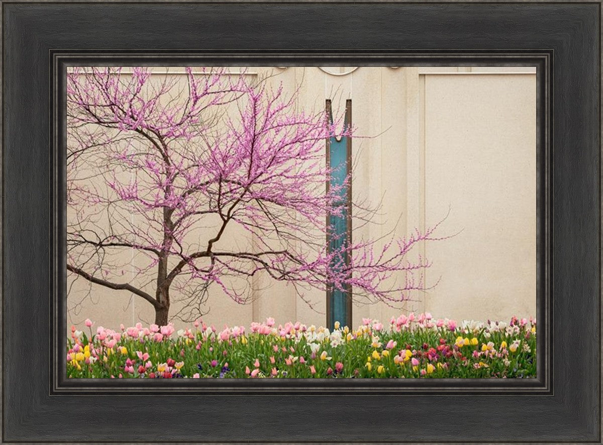 Jordan River Awakening