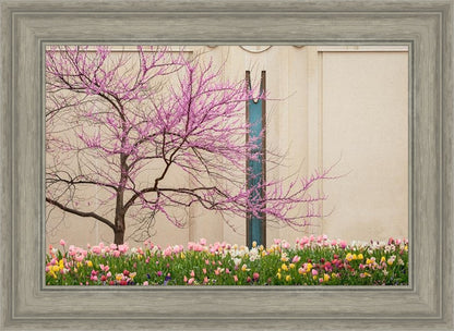 Jordan River Awakening