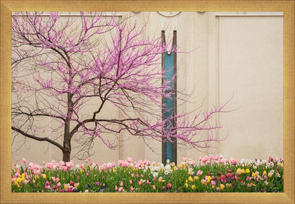 Jordan River Awakening