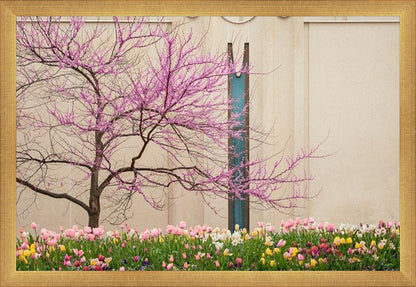 Jordan River Awakening