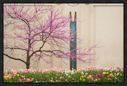 Jordan River Awakening