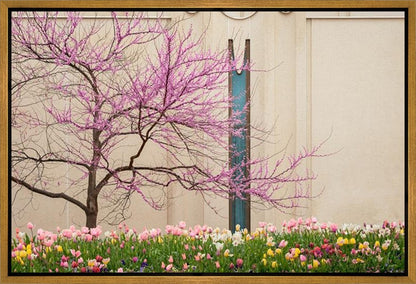 Jordan River Awakening