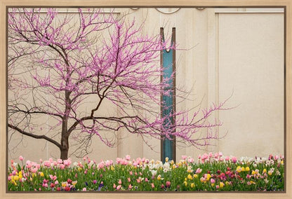 Jordan River Awakening